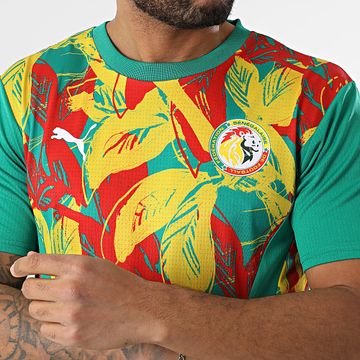 Puma - Maillot De Foot Fédération Sénégalaise Football Prematch 777171 Verde Amarillo Rojo