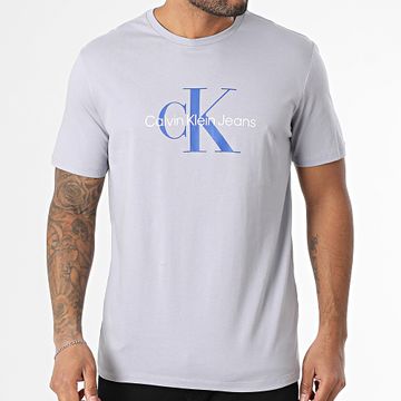 Calvin Klein - Camiseta LV040EM286 Gris