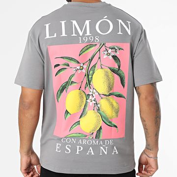 Classic Series - Camiseta oversize 015 Gris