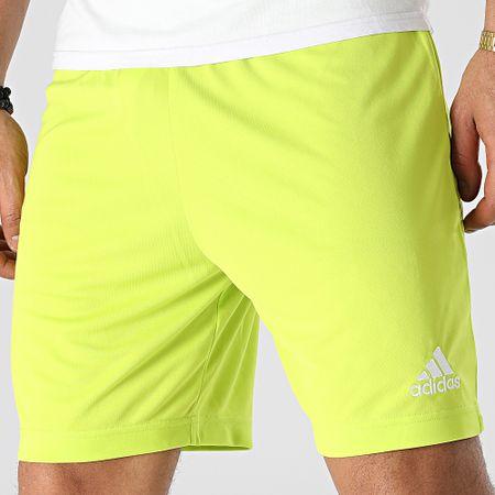 Adidas Performance - HC5061 Pantalón corto de jogging verde fluorescente