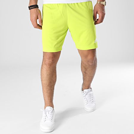 Adidas Performance - HC5061 Pantalón corto de jogging verde fluorescente