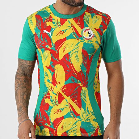 Puma - Maillot De Foot Fédération Sénégalaise Football Prematch 777171 Verde Amarillo Rojo
