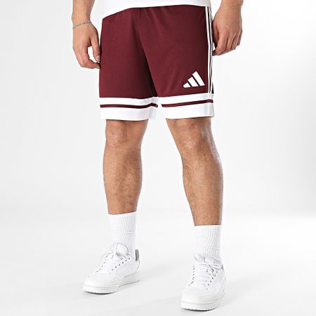Adidas Performance - Squa25 Pantalones cortos de chándal con banda JC8677 Burdeos