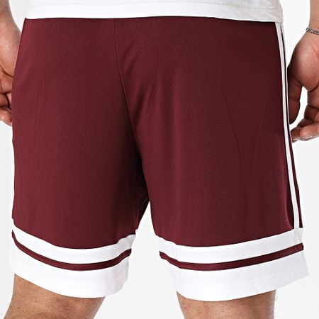Adidas Performance - Squa25 Pantalones cortos de chándal con banda JC8677 Burdeos