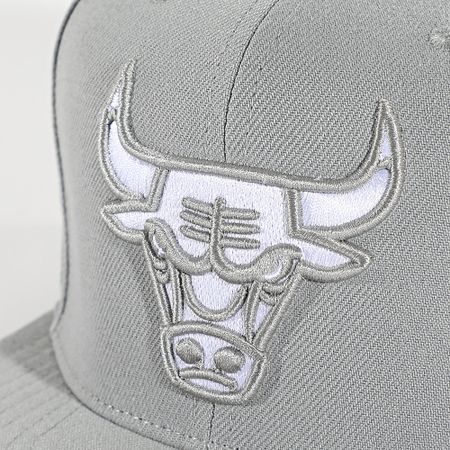 Mitchell and Ness - Evergreen Chicago Bulls Snapback Cap HS8560 Gris